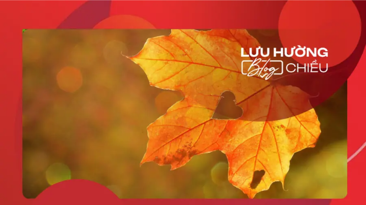 Vạt nắng cuối thu